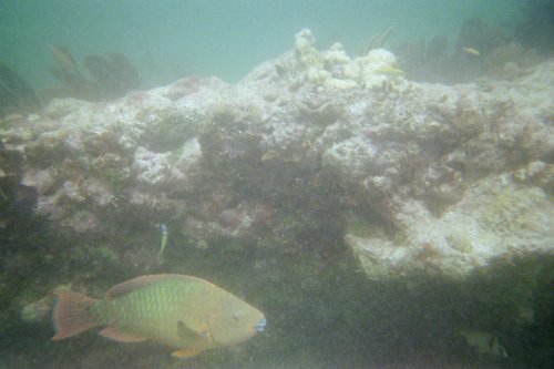 IMG011H.JPG