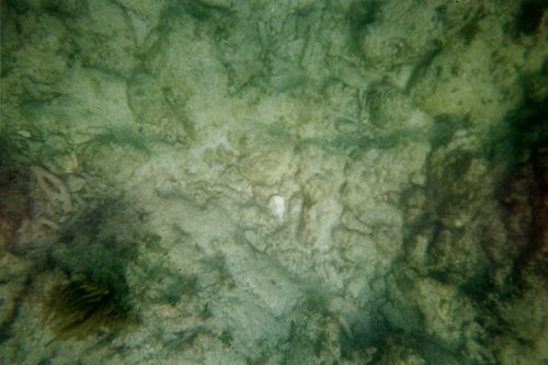 IMG012.JPG