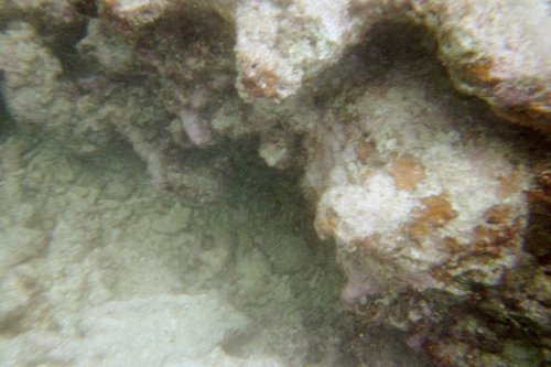 IMG012A.JPG