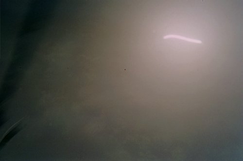 IMG012T.JPG