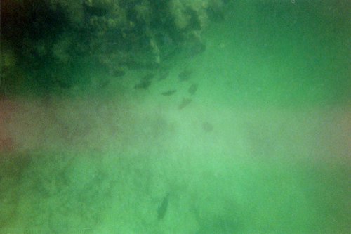 IMG013.JPG