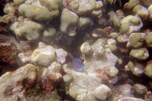 IMG013H.JPG