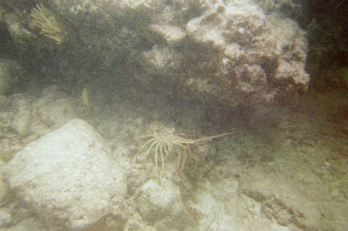 IMG014A.JPG