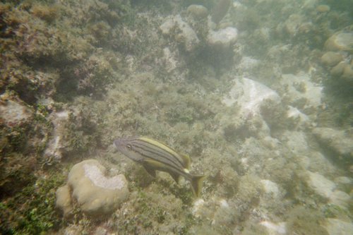IMG014H.JPG