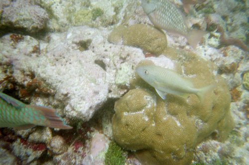 IMG014J.JPG