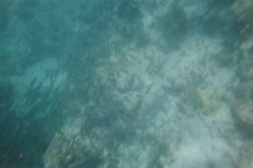IMG014T.JPG