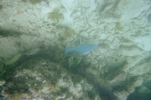 IMG015A.JPG