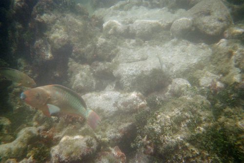 IMG015H.JPG