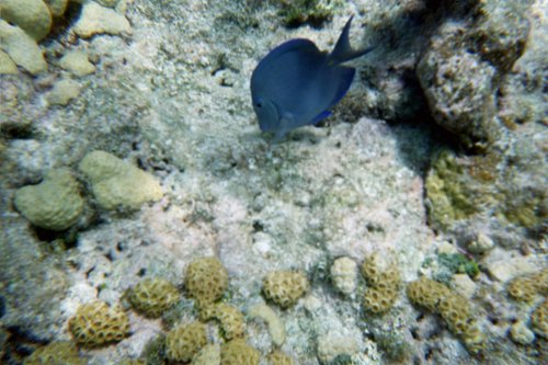 IMG015T.JPG