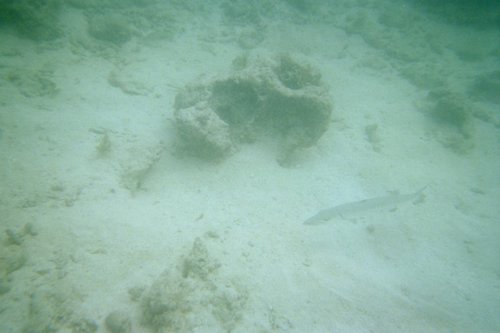 IMG016A.JPG