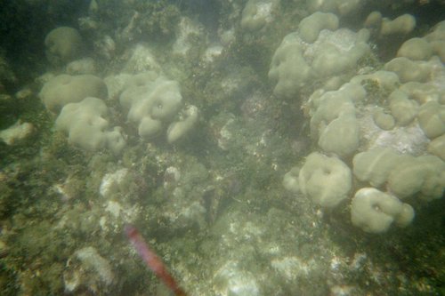 IMG016H.JPG