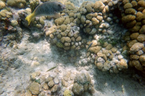 IMG016T.JPG