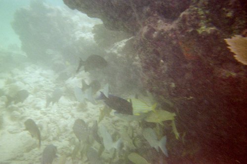 IMG017A.JPG