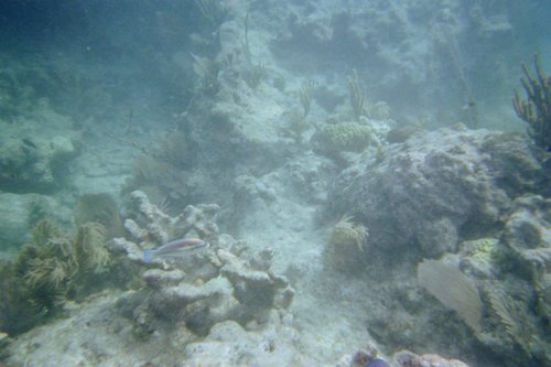 IMG017H.JPG