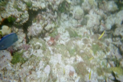 IMG017J.JPG