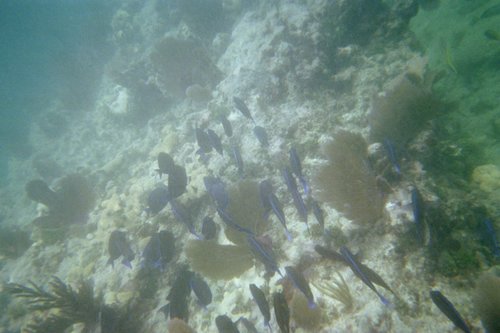 IMG018A.JPG