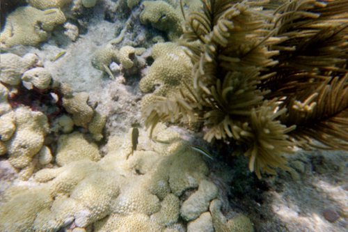 IMG018T.JPG