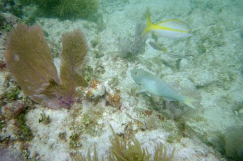 IMG019A.JPG