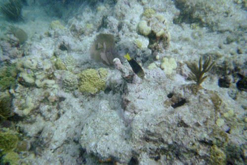 IMG020H.JPG