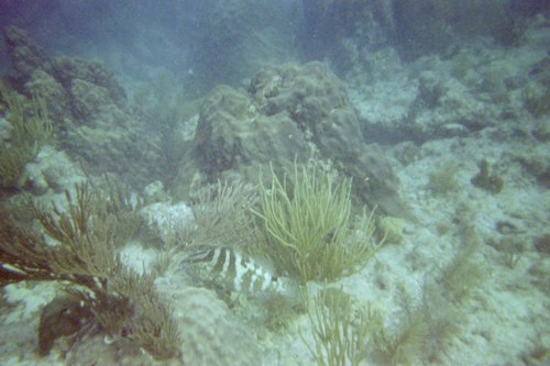 IMG021H.JPG