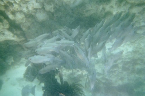 IMG021J.JPG