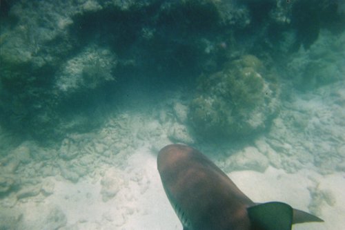 IMG021T.JPG