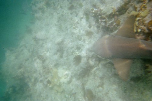 IMG023A.JPG