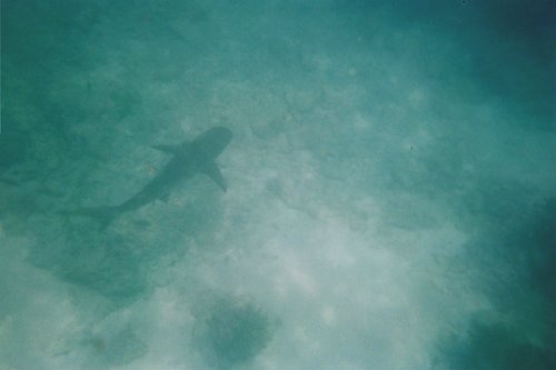 IMG023T.JPG
