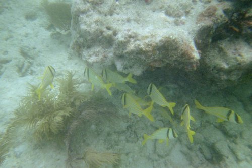 IMG024A.JPG