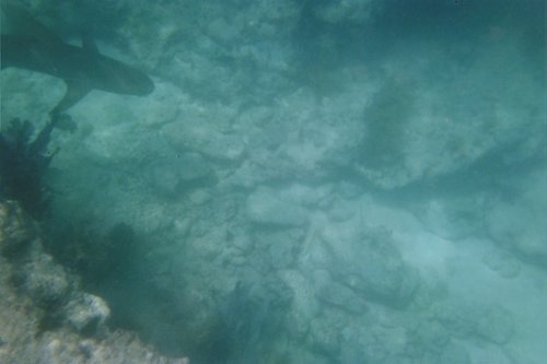 IMG024T.JPG