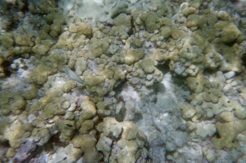 IMG025T.JPG
