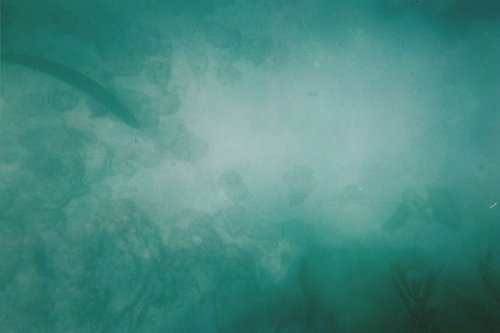 IMG026T.JPG