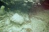 IMG002J.JPG