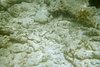 IMG003A.JPG