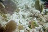 IMG003J.JPG