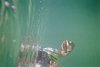 IMG004A.JPG