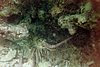 IMG004T.JPG