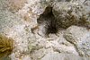 IMG007H.JPG