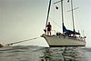 IMG008T.JPG