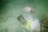 IMG009A.JPG