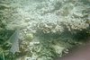 IMG010A.JPG