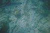 IMG013T.JPG