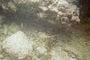 IMG014A.JPG