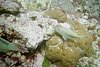 IMG014J.JPG