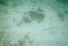 IMG016A.JPG