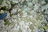 IMG017J.JPG