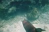 IMG021T.JPG