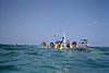 IMG022J.JPG