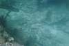 IMG024T.JPG