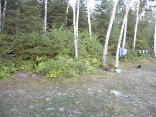 PDR_0236.JPG